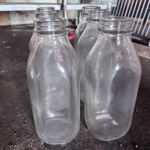 IMG_8650 Medium.jpeg