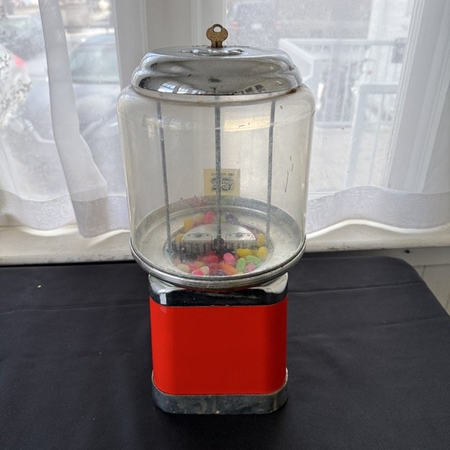 IMG_3101 Medium.jpeg