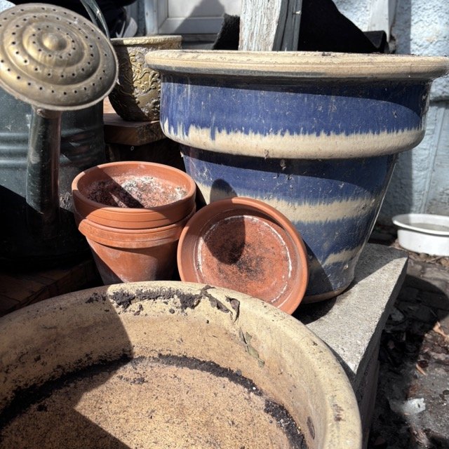 IMG_8709 Medium.jpeg