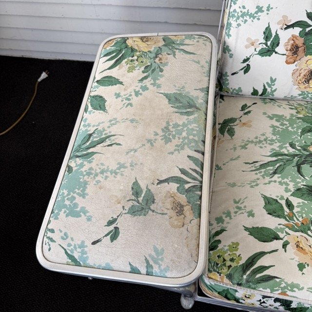 IMG_3115 Medium.jpeg