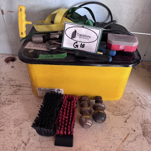 IMG_8695 Medium.jpeg