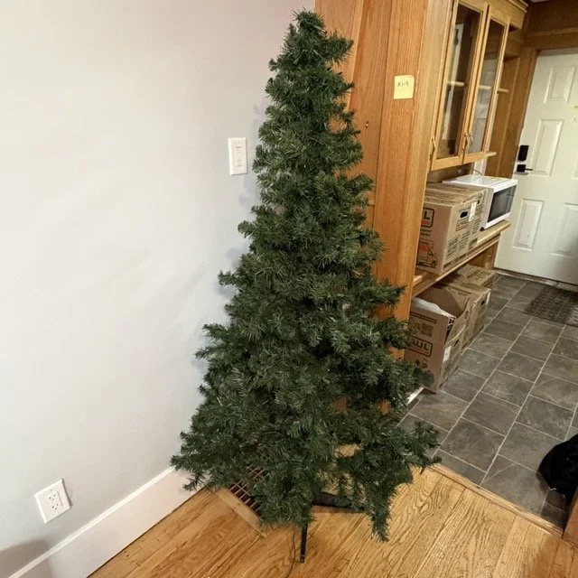 IMG_191 Medium.jpeg