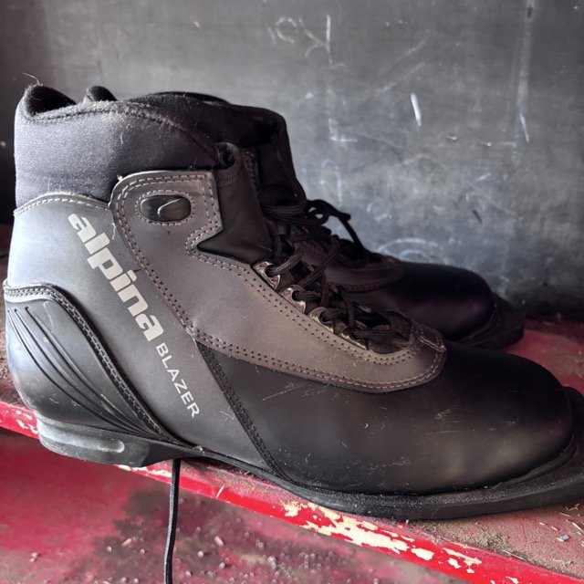 IMG_8639 Medium.jpeg