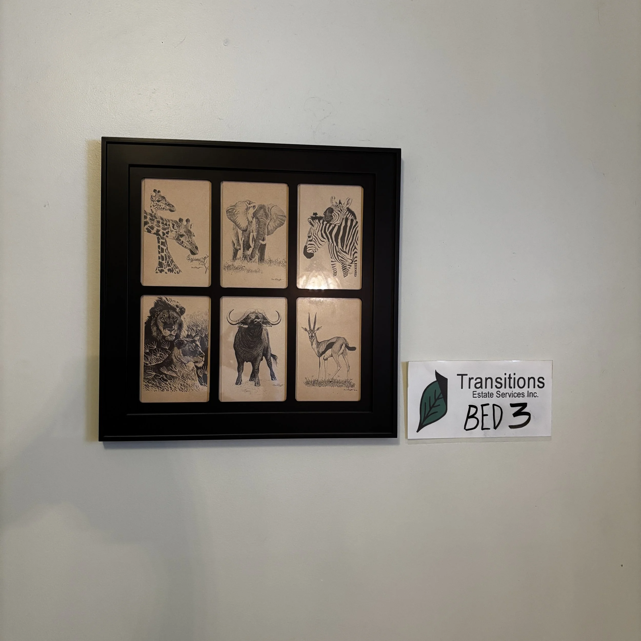 Six Framed Safari Sketches - David Bygott