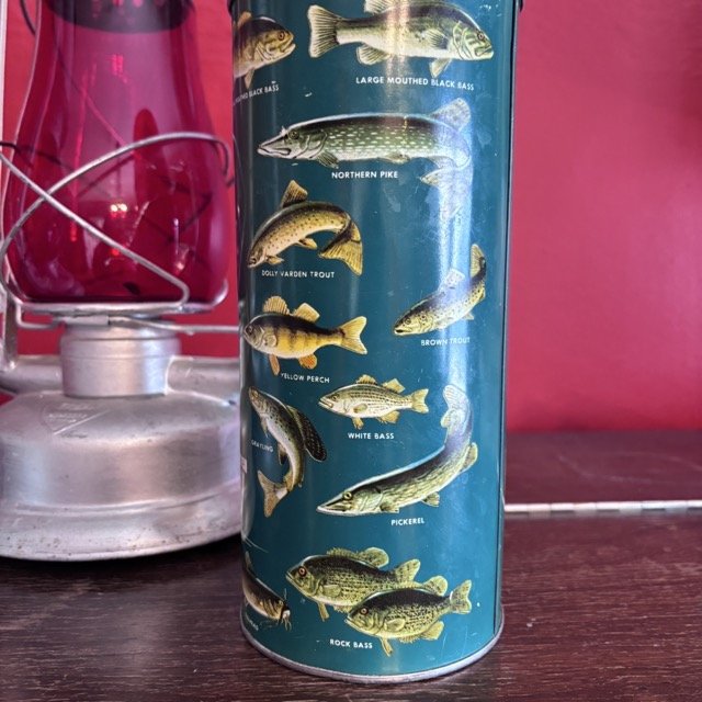 IMG_8416 Medium.jpeg