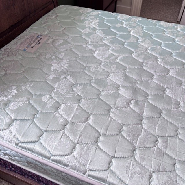 IMG_8526 Medium.jpeg