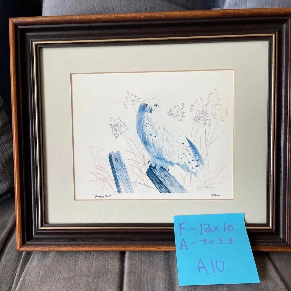 Snowy Owl 1991 - 27/390