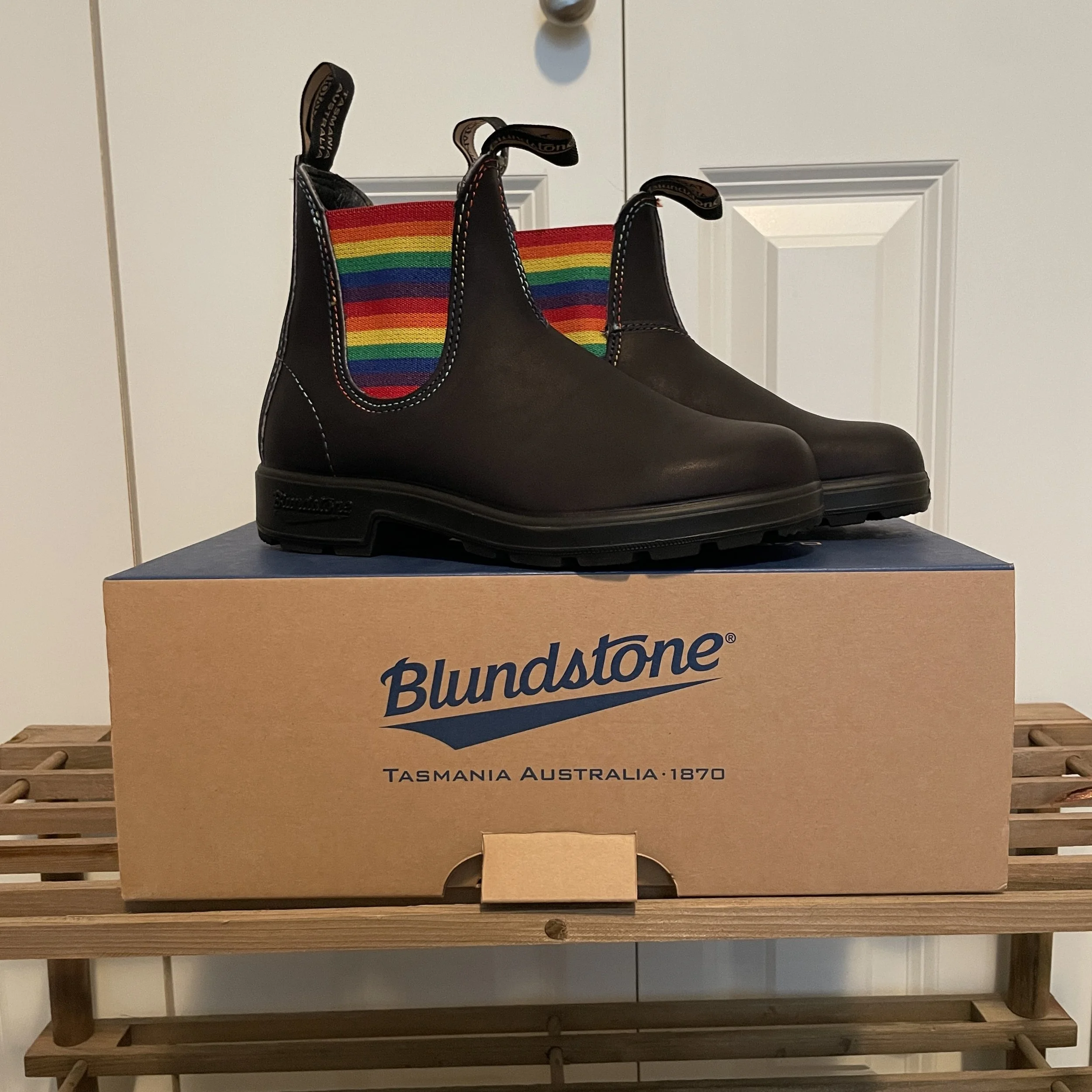 Rainbow Sunny Blunnies