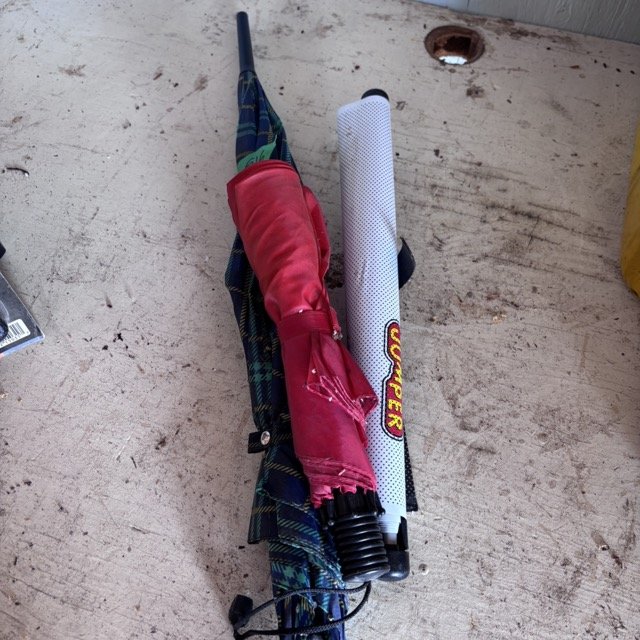 IMG_8689 Medium.jpeg