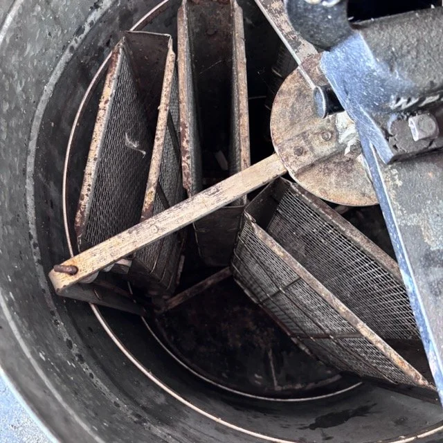 IMG_8646 Medium.jpeg