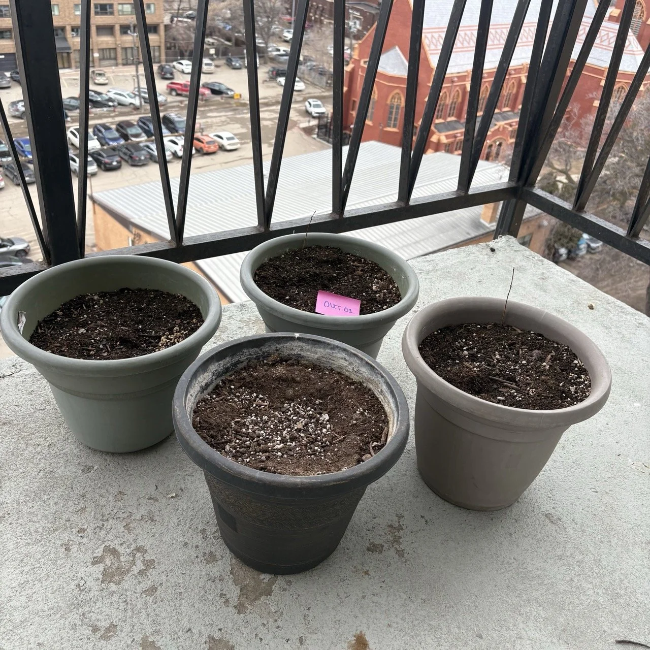 Let your Garden Grow