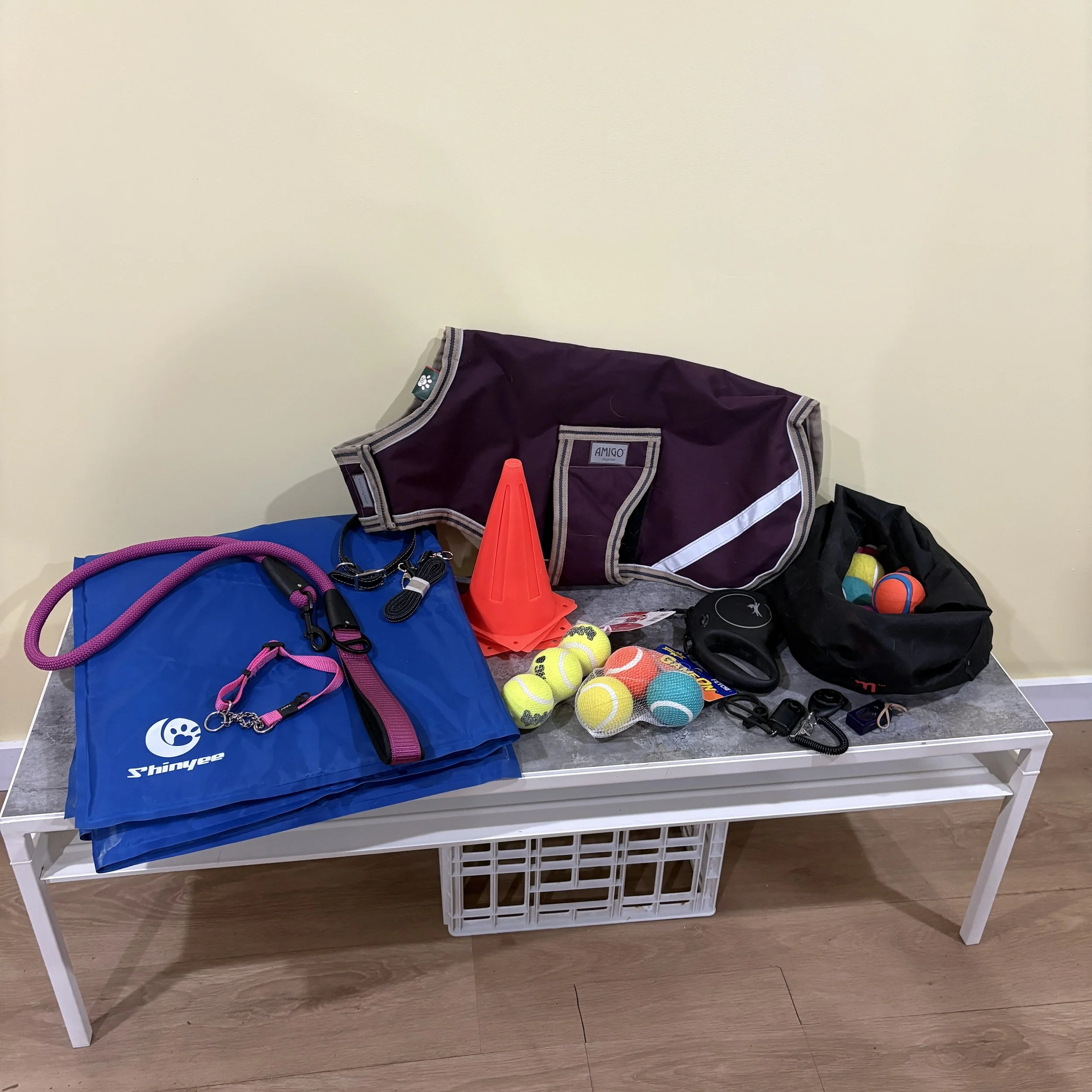 Dog Training Kit