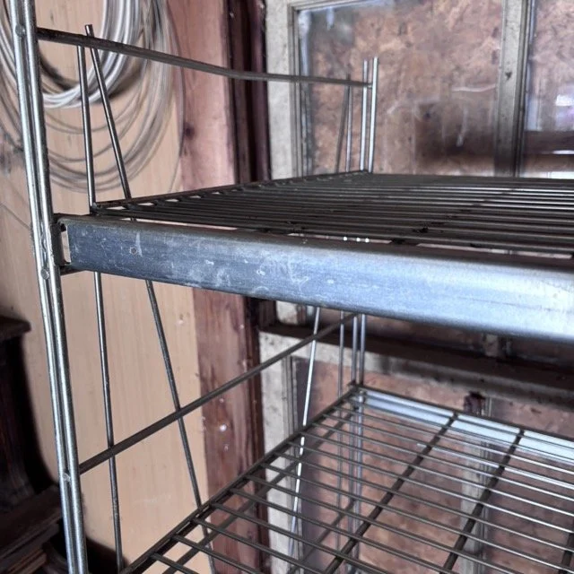 IMG_8664 Medium.jpeg