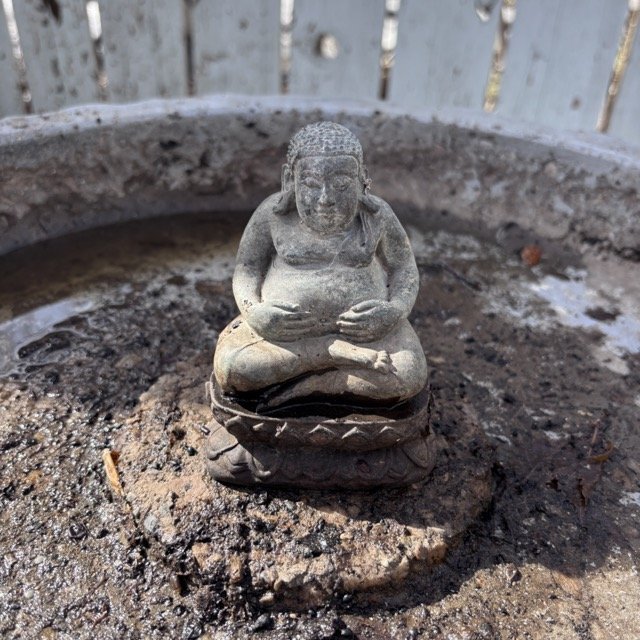 IMG_8723 Medium.jpeg