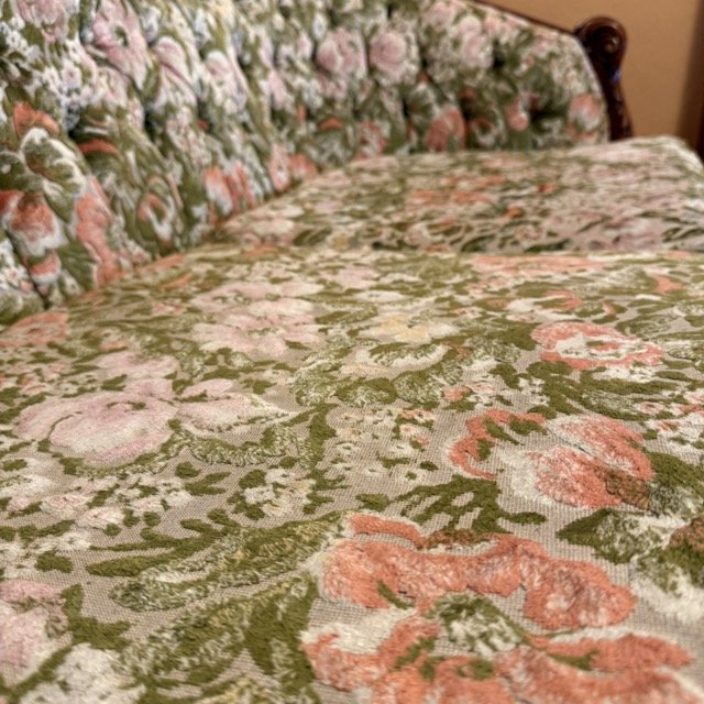 IMG_3210 Medium.jpeg