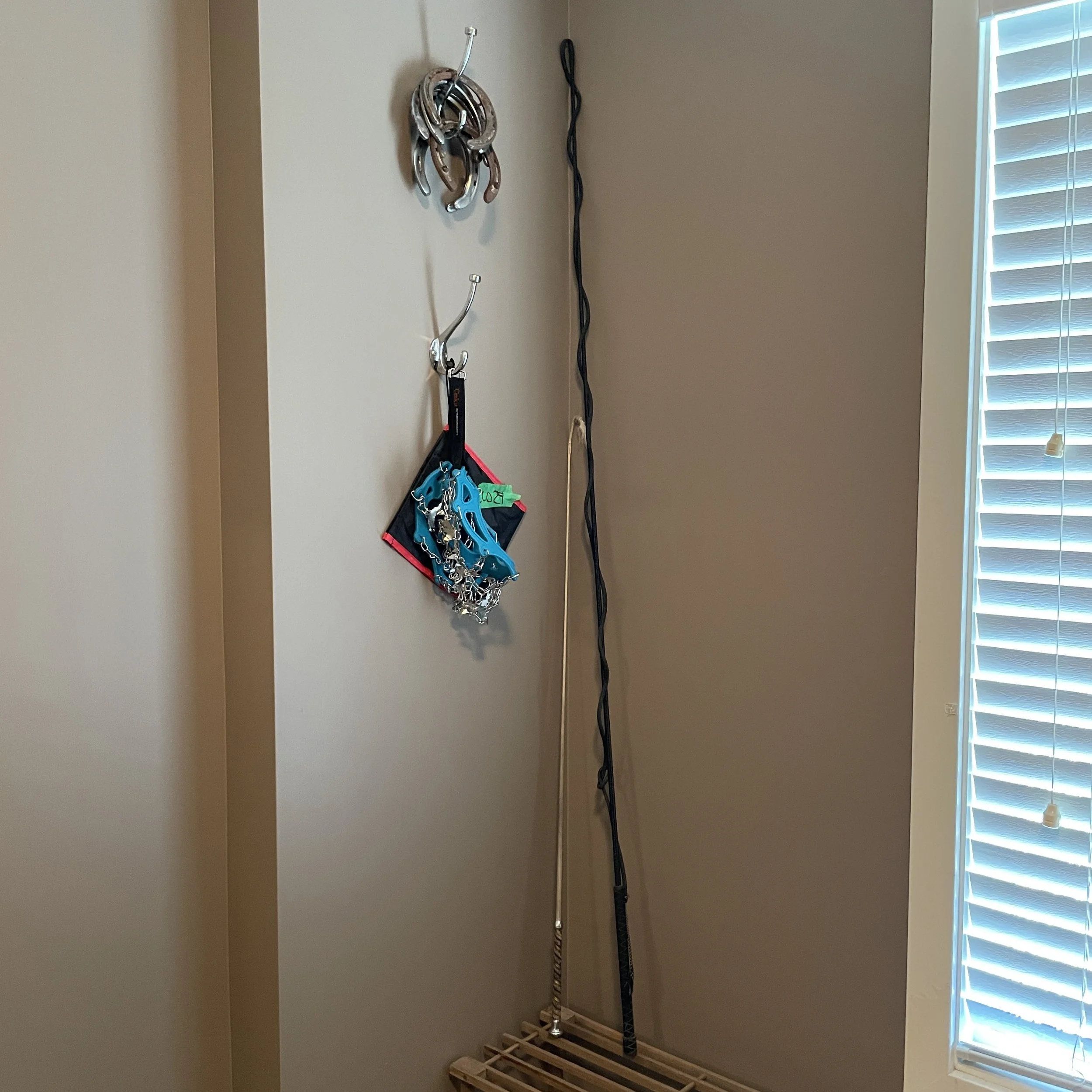 Riding, Barn Accessories and Decor Lot