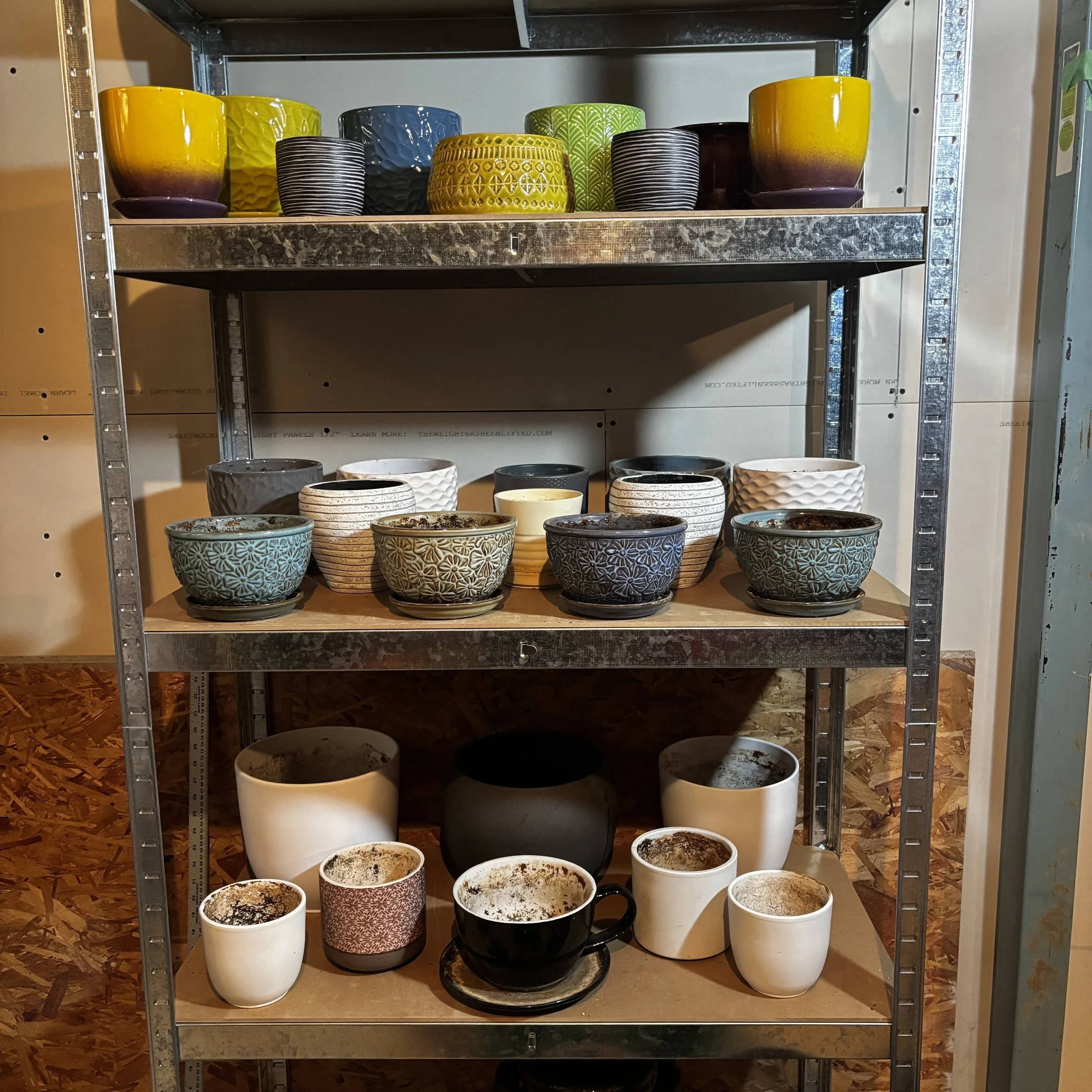 Plant Pots Galore!