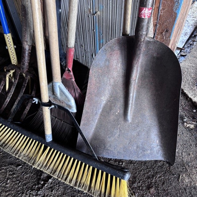 IMG_8681 Medium.jpeg