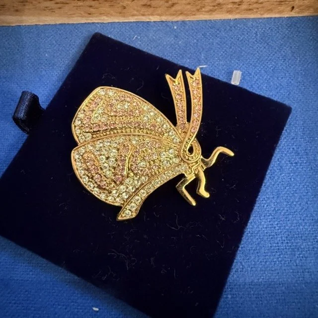 IMG_0352 Medium.jpeg