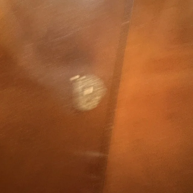 IMG_6355 Medium.jpeg
