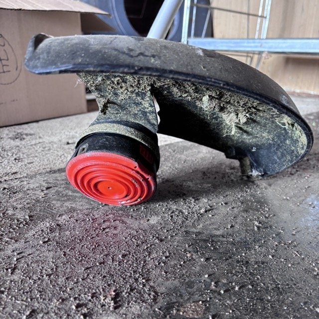 IMG_8673 Medium.jpeg