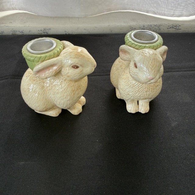 IMG_3181 Medium.jpeg