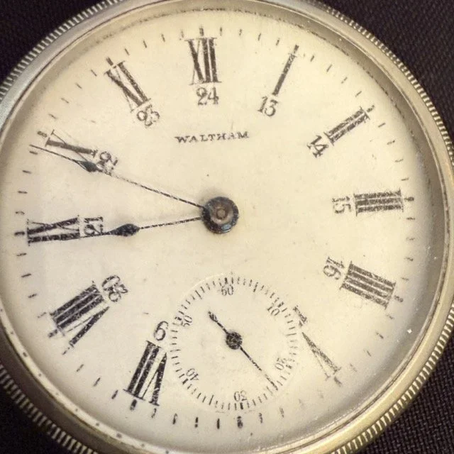 IMG_0151 Medium.jpeg