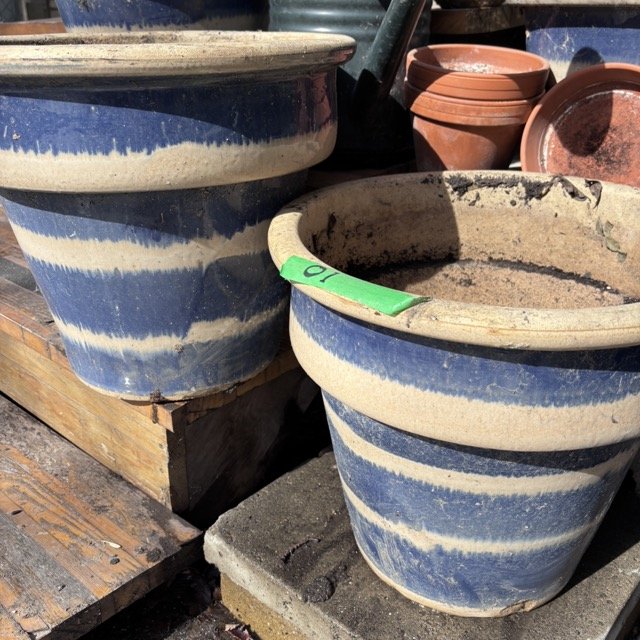 IMG_8707 Medium.jpeg