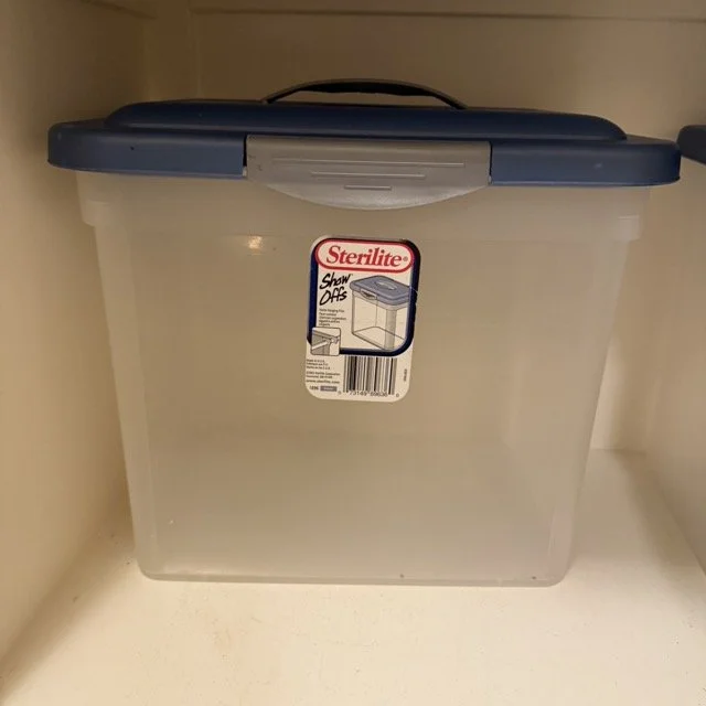 IMG_6852 Medium.jpeg