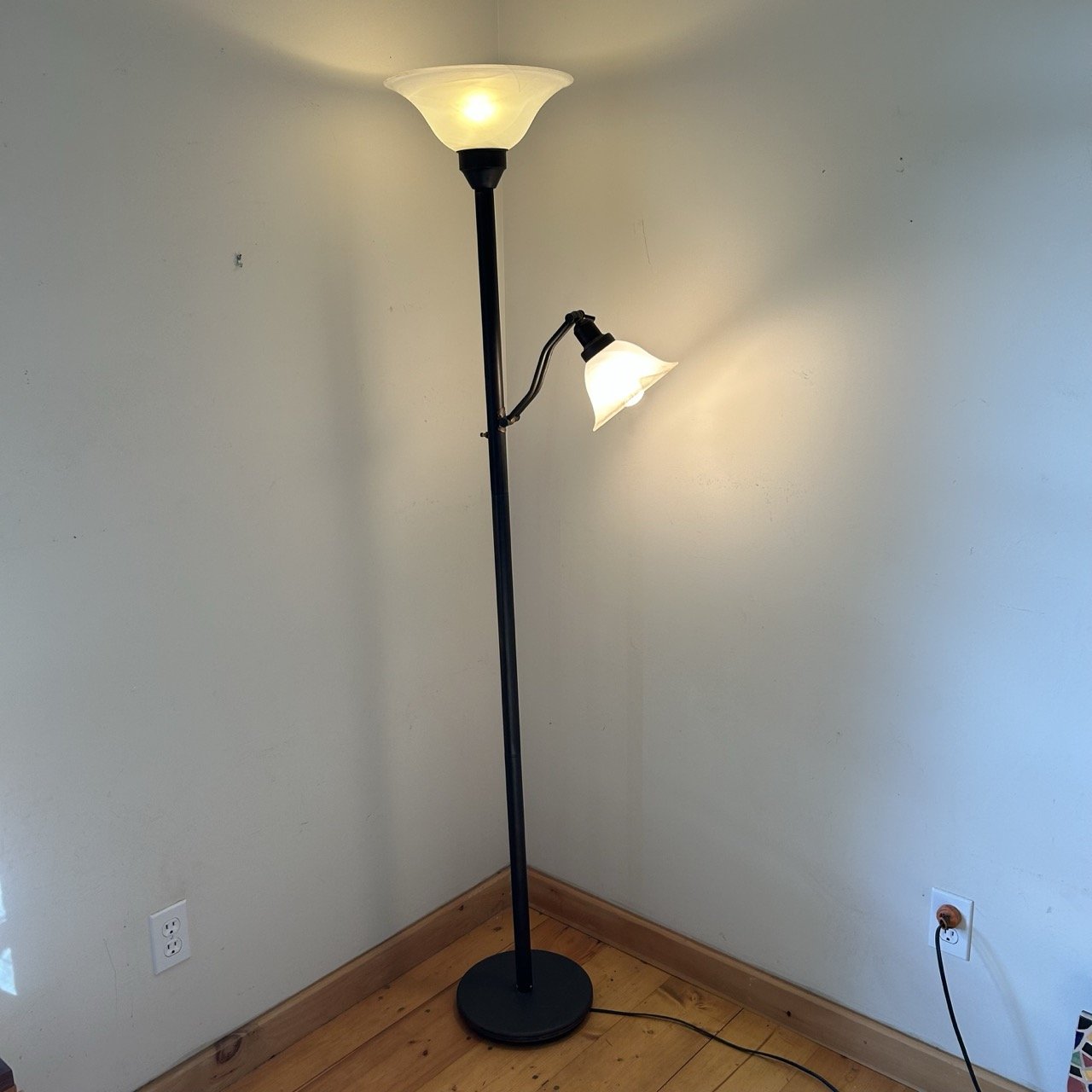 Dark Bronze Torchierre Floor Lamp