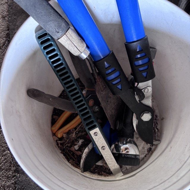 IMG_8653 Medium.jpeg