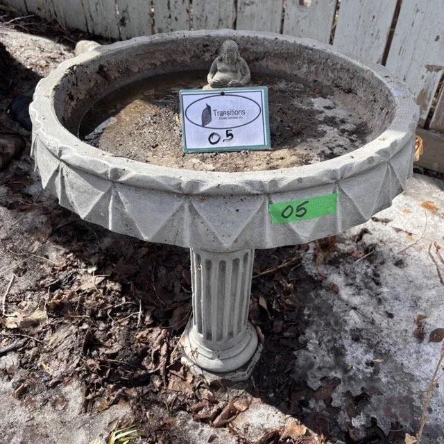 IMG_8722 Medium.jpeg