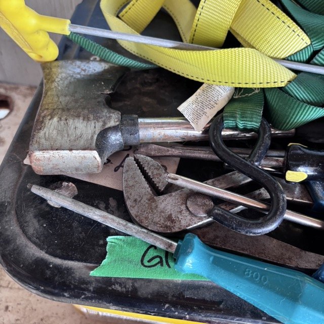 IMG_8697 Medium.jpeg