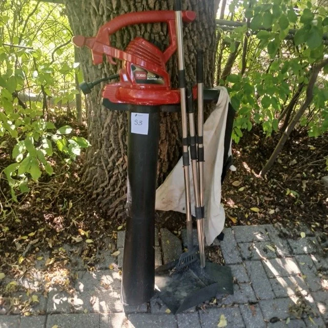 Fall Clean Up
