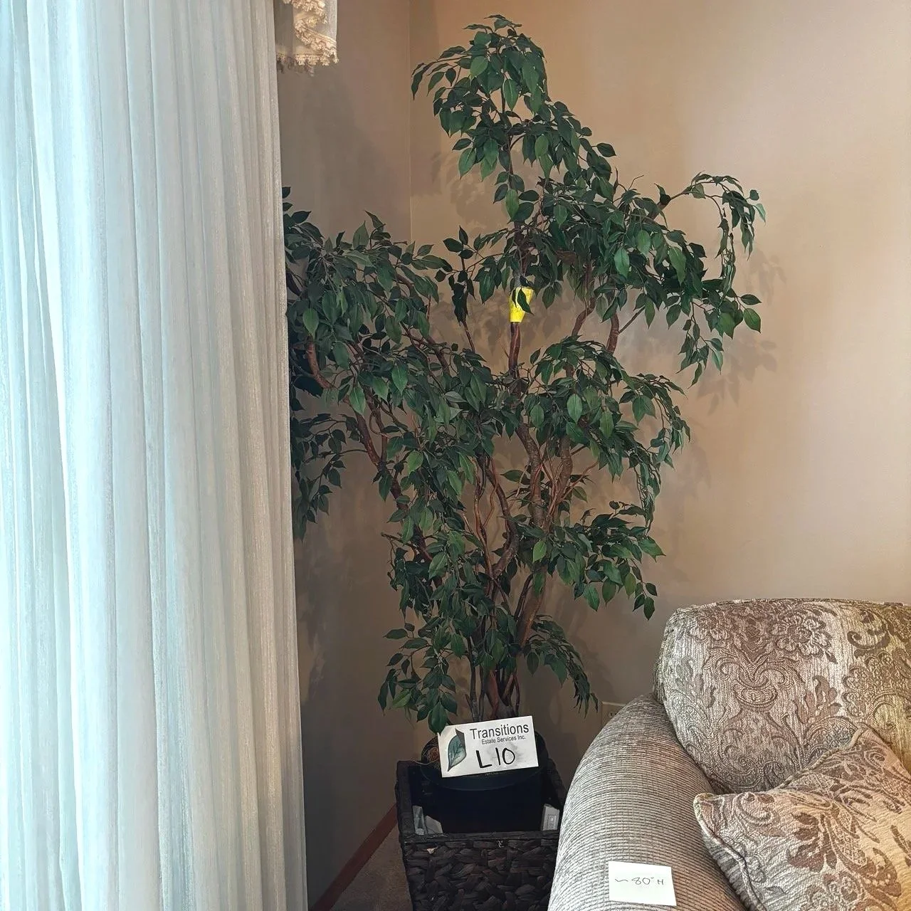 Artificial Ficus Tree