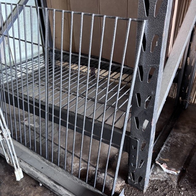 IMG_8676 Medium.jpeg