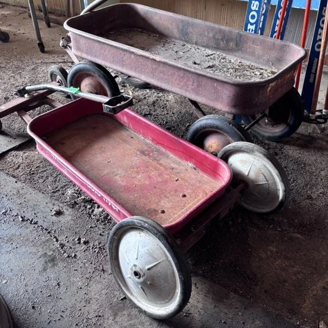 IMG_8635 Medium.jpeg