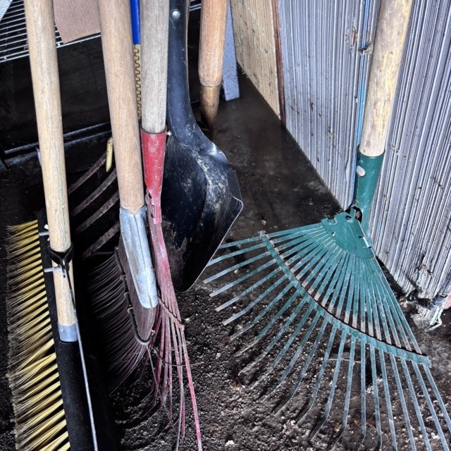 IMG_8682 Medium.jpeg