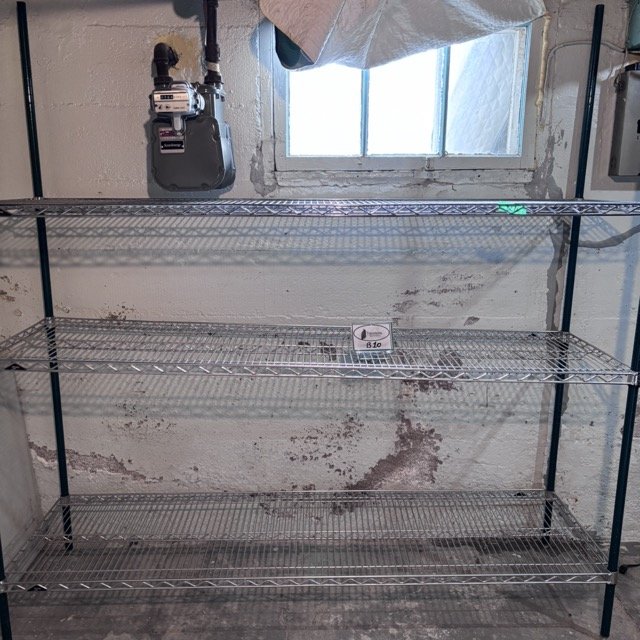 IMG_8617 Medium.jpeg