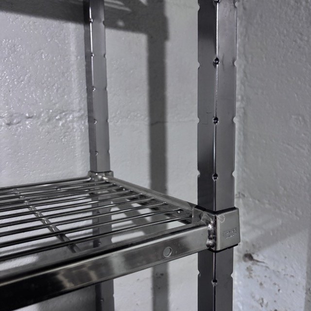 IMG_8612 Medium.jpeg