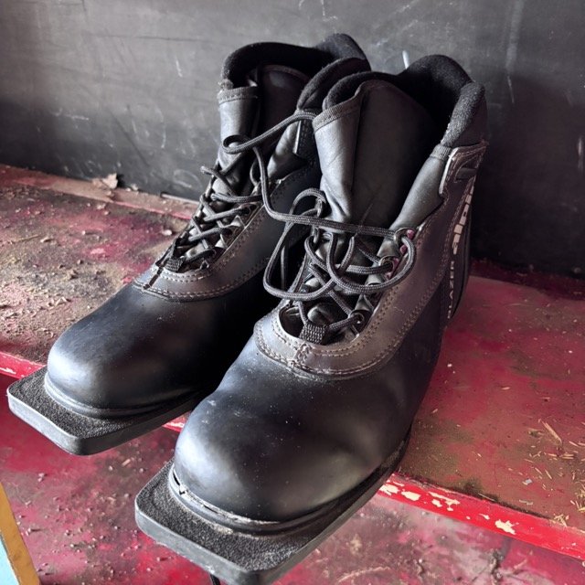 IMG_8640 Medium.jpeg