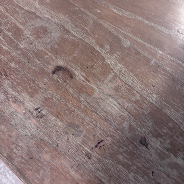 IMG_8540 Medium.jpeg