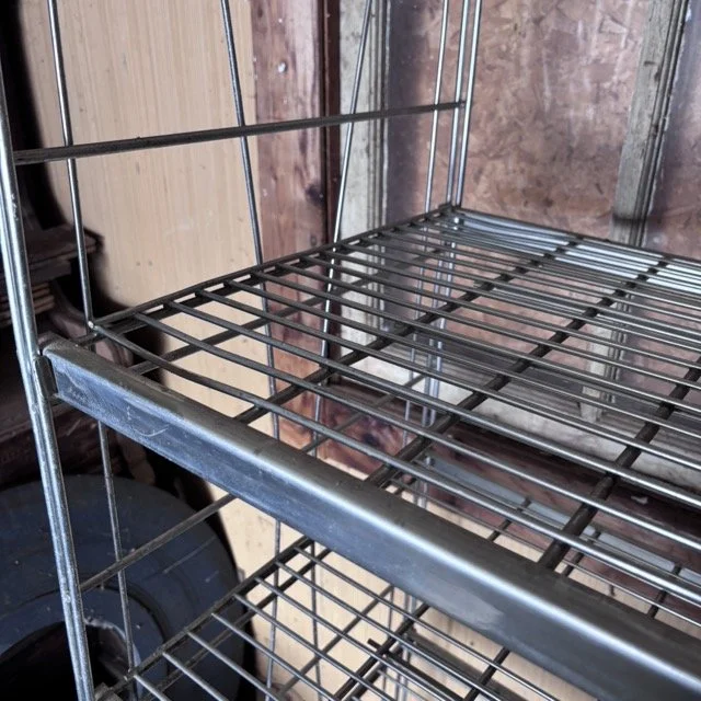 IMG_8663 Medium.jpeg