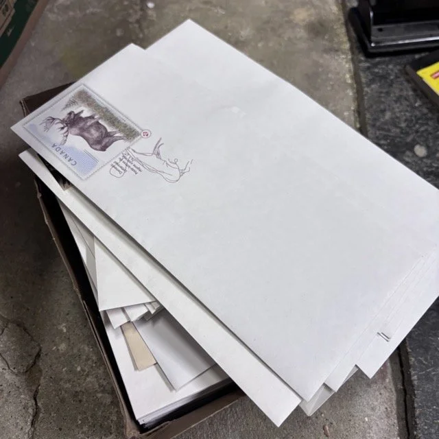 IMG_8591 Medium.jpeg