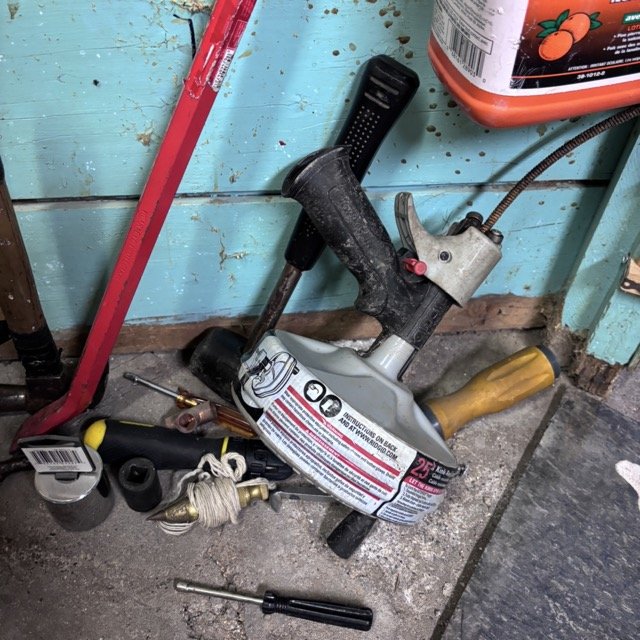 IMG_8583 Medium.jpeg