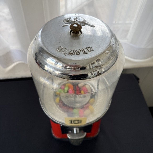 IMG_3098 Medium.jpeg