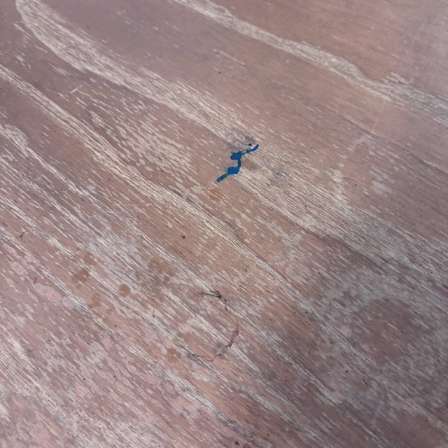 IMG_8541 Medium.jpeg