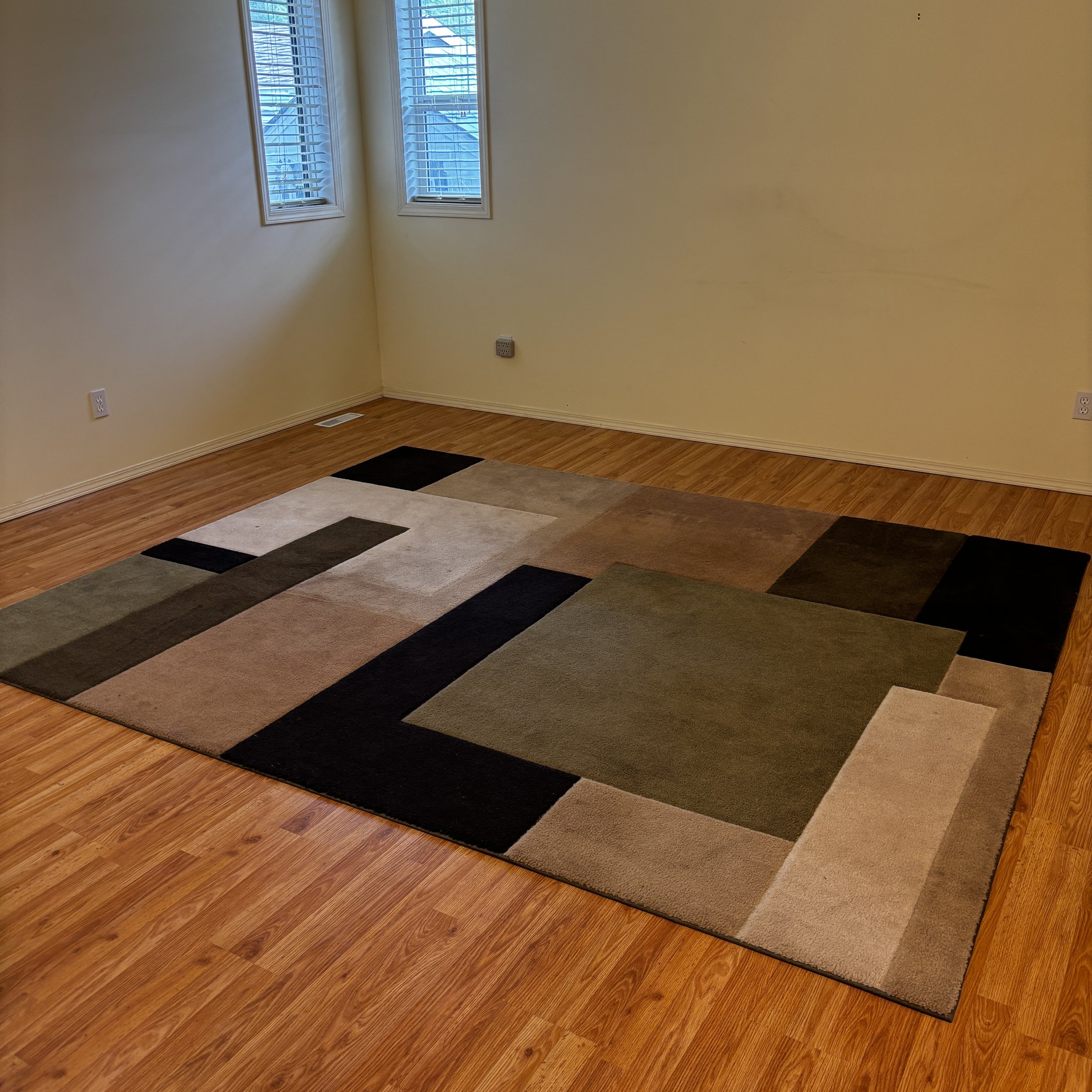 Large Area Rug