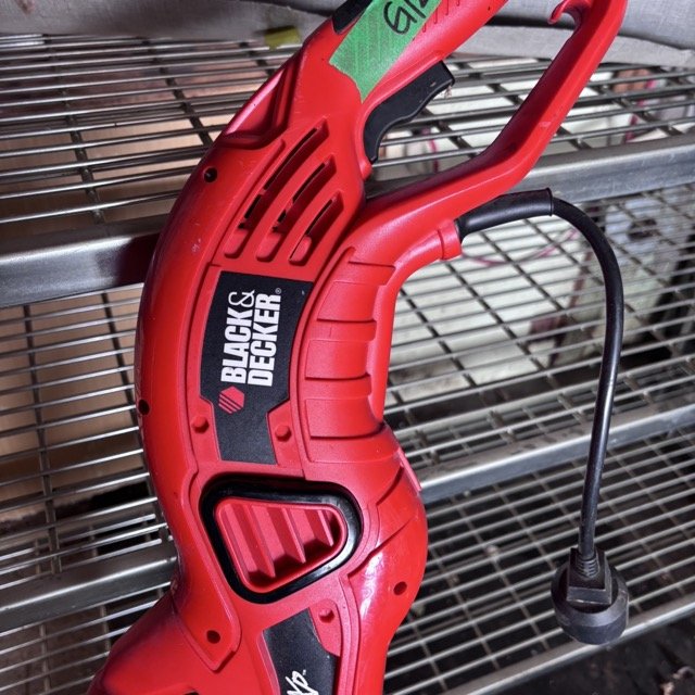 IMG_8671 Medium.jpeg