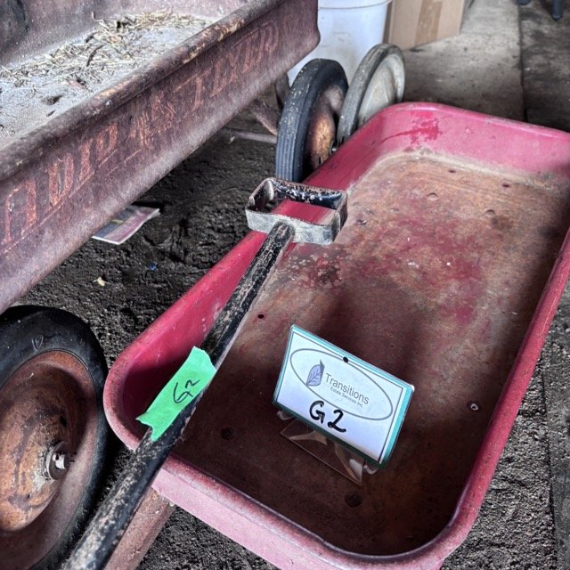 IMG_8632 Medium.jpeg